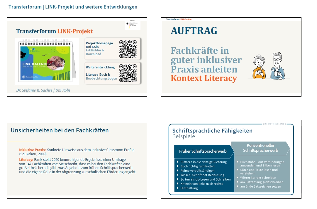 Die erste Seite des Handout zum Transferpanel des LINK-Projekts.