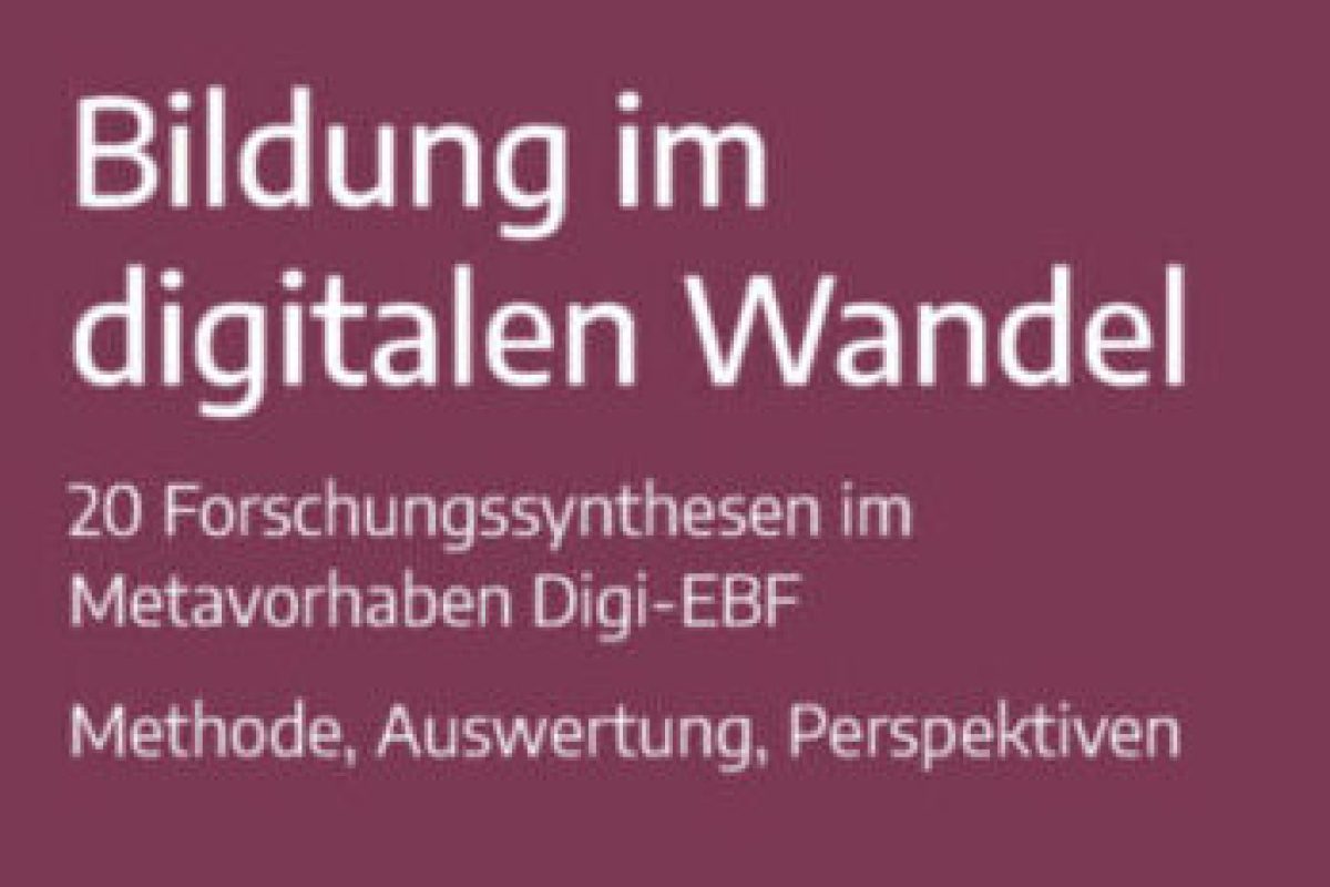 Das Bild zeigt einen Ausschnitt des Buchcovers. Zu lesen ist: Bildung im digitalen Wandel. 20 Forschungssynthesen im Metavorhaben Digi-EBF. Methoden, Auswertung, Perspektiven